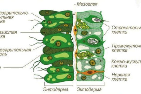 Http kraken 2kr