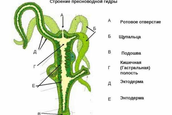 Кракен шоп ссылки