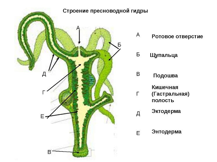 Кракен наркоплейс